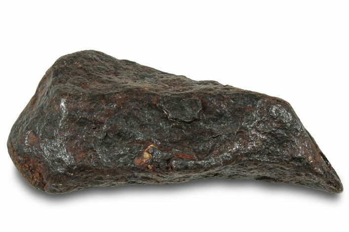 Canyon Diablo Iron Meteorite ( g) - Arizona #319687